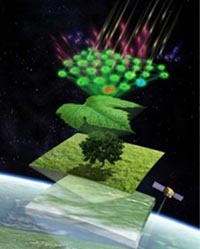 Fotosintesi dallo spazio: più alta rispetto ai modelli teorici