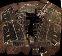 Opportunity: autoritratto di primavera